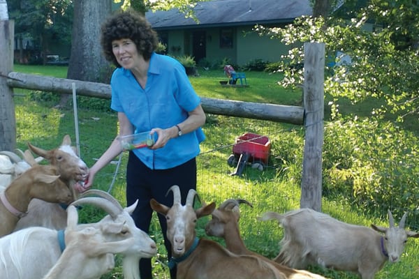 After a day of giving medical care to children, Dr. Ann Carr relaxes by showering her attention on a flock of goats in her rural neighborhood outside Philadelphia. (M. Cejka/U.S.)