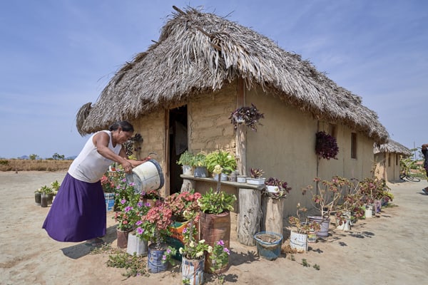 Celestina Fernandes da Silva, a Catholic activist, waters flowers in front of her home in the Wapishana indigenous village of Tabalascada, Brazil, April 3, 2019. Discussions at the Amazon Synod have enlarged to include the theology of creation, "where the Word of God resides." (CNS/Paul Jeffrey)