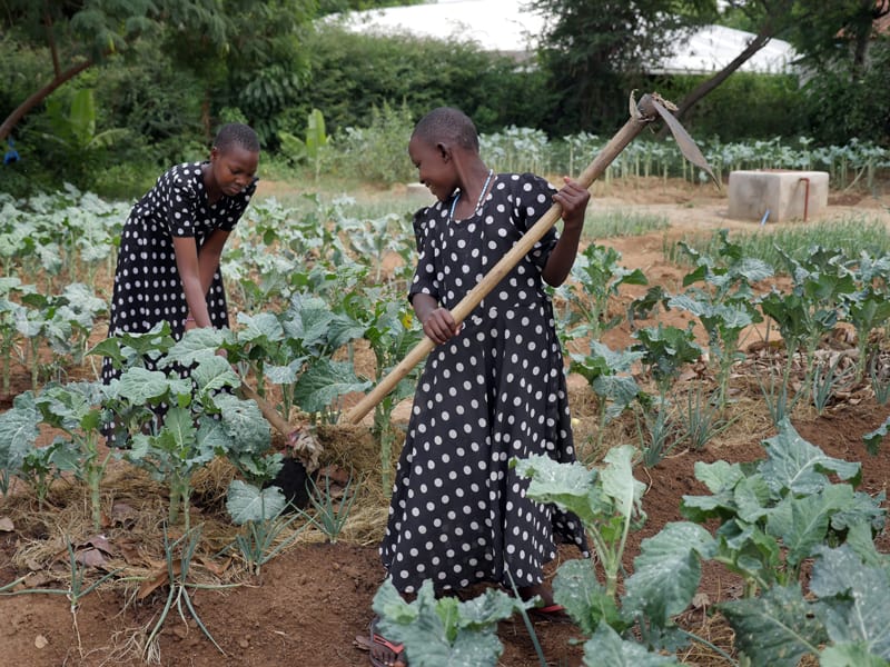 Residents of the Jipe Moyo shelter tend the garden that feeds the 70 vulnerable children and adolescents, mostly girls in danger of gender-based violence. (Sean Sprague/Tanzania)