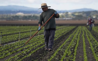 Essential Farmworkers Are Also Vulnerable to Coronavirus