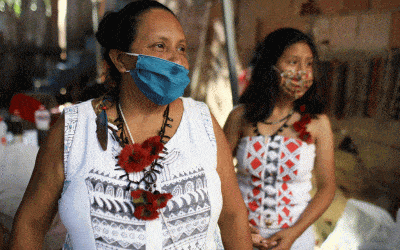 Advocates Say Brazil Not Protecting Indigenous During Pandemic