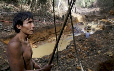 Brazil’s Yanomami Ask OAS for Help Keeping Out Miners, COVID-19