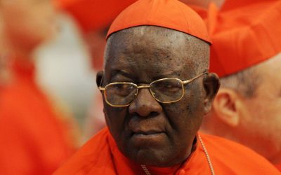 African Cardinal Kidnapped in Cameroon, Released Unharmed