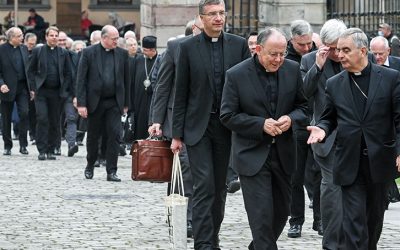 Synodal Process Looks to Hear From Voices on Church’s Margins