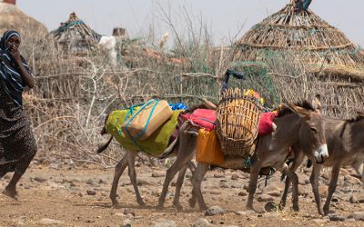 Drought in East Africa Is ‘Dire,’ Warn Officials