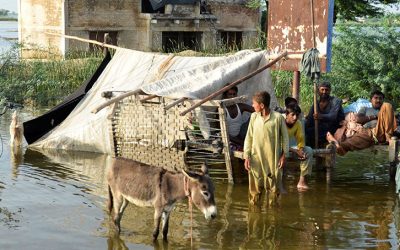 Bishop Calls for Help for Pakistanis Left Homeless, Hungry by Floods