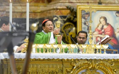 Synodal Journey Is about Reconciling the World, Cardinal Says