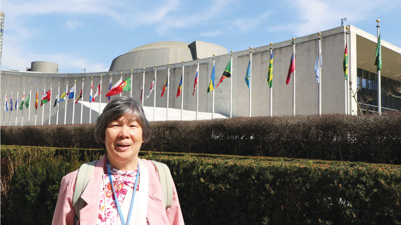 Maryknoll at the UN: Mission to Missions