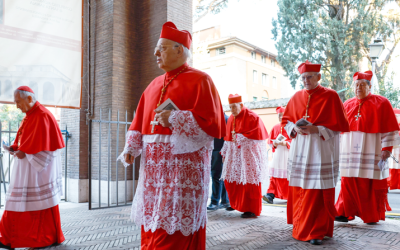 Statistically Speaking: How Pope’s Choices Change the College of Cardinals