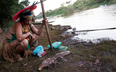 Latin American Bishops Launch Campaign to Protect Human Rights Activists