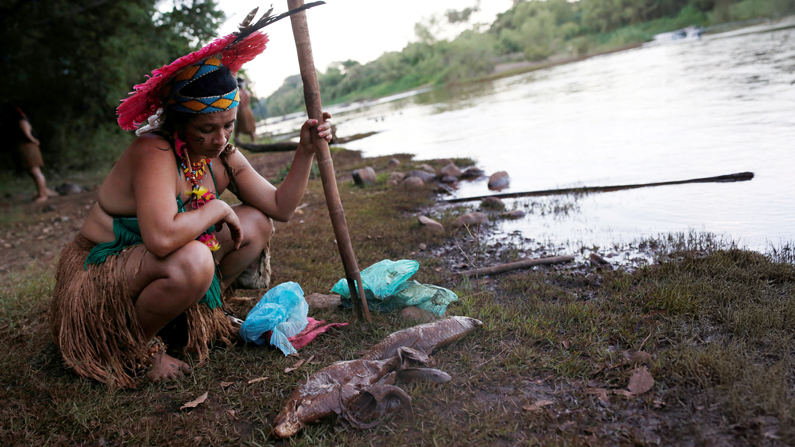 Latin American Bishops Launch Campaign to Protect Human Rights Activists