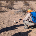 Jesuits Join in ‘Heartbreaking’ Search for Migrants’ Remains in Arizona Desert