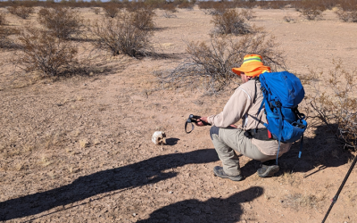 Jesuits Join in ‘Heartbreaking’ Search for Migrants’ Remains in Arizona Desert