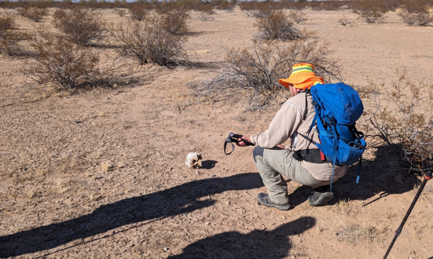 Jesuits Join in ‘Heartbreaking’ Search for Migrants’ Remains in Arizona Desert