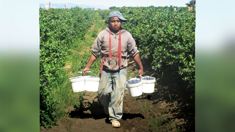 God Walks with Migrant Farmworkers