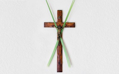 Maryknoll Reflection on Palm Sunday